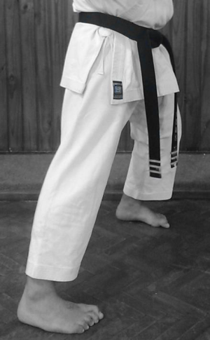 KOKUTSU DACHI.png
